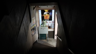 Gallery image 5