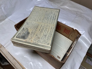 Gallery image 7