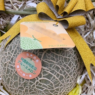 阿露斯哈密瓜-雙入禮盒