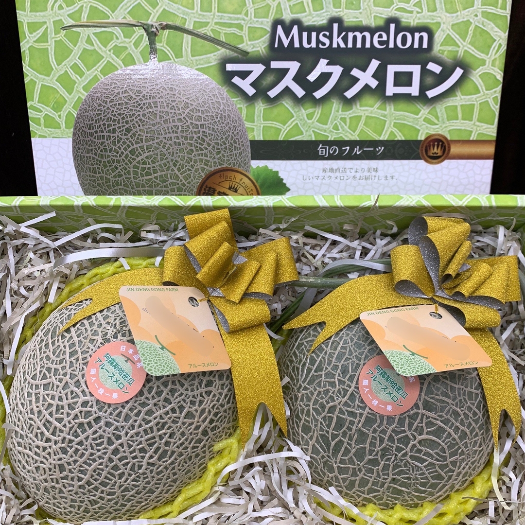 阿露斯哈密瓜-雙入禮盒