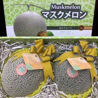 阿露斯哈密瓜-雙入禮盒