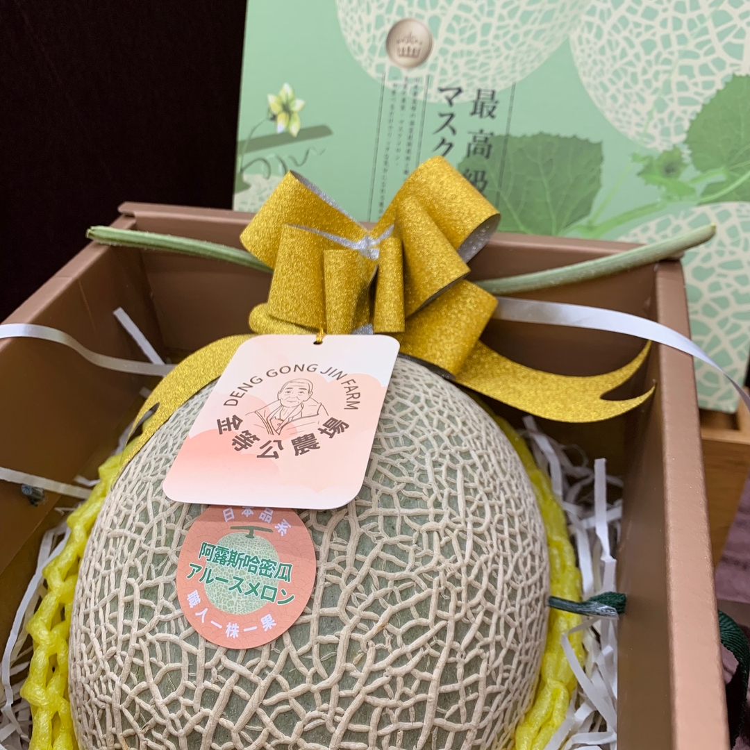 阿露斯哈密瓜-單入禮盒