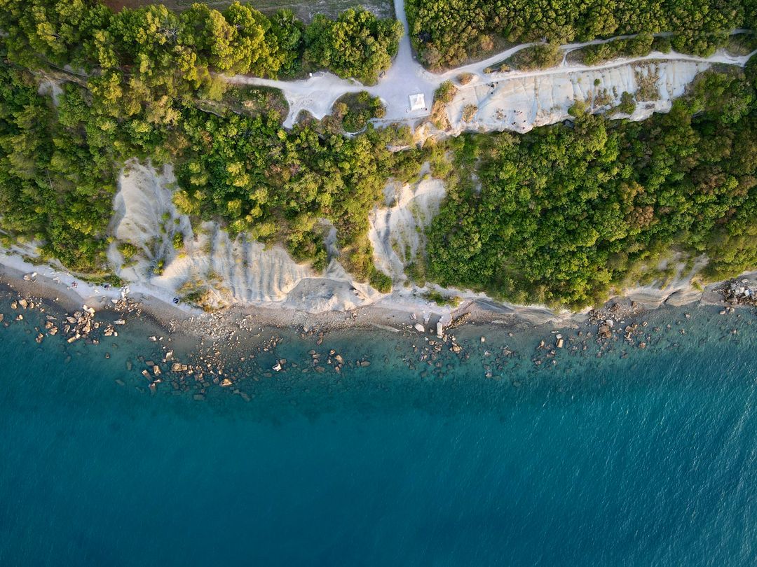【共同提升永續電車日常｜立即在AmpGO上支持我們】