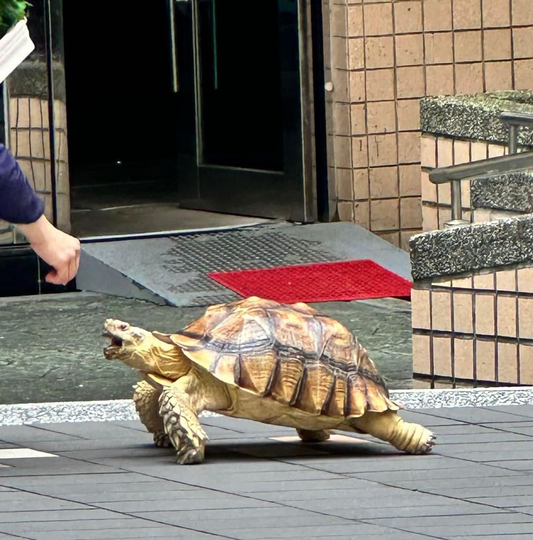 <p>附上一張很有啟發的圖：不積硅步，無以千里</p><p>共勉之</p>