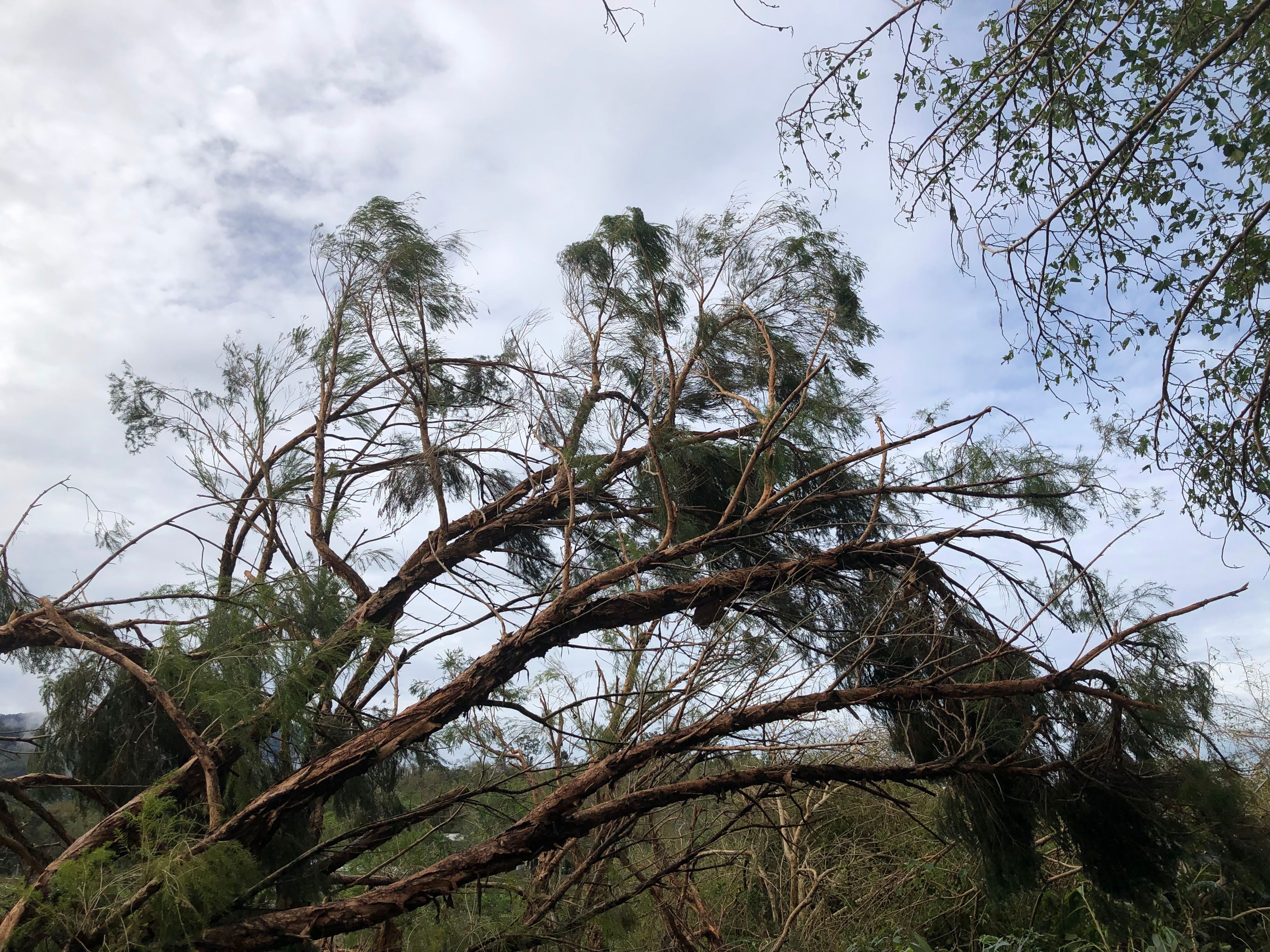 <p><br></p><p><span style="background-color: transparent;">當我們追求著每年疊高的經濟成長,享受物質帶來的豐盈數十年後,</span></p><p><span style="background-color: transparent;">如今無可避面地,</span></p><p><span style="background-color: transparent;">必須接受我們在暖化和氣候變遷的路上煞不了車的現實。</span></p><p><br></p><p><span style="background-color: transparent;">這幾年地球的</span><strong style="background-color: transparent;">能量釋放</strong><span style="background-color: transparent;">越來越劇烈,不論是颱風、暴雨、地震。</span></p><p><br></p><p><span style="background-color: transparent;">接下來每一年的夏天只會越來越熱,</span></p><p><br></p><p><span style="background-color: transparent;">每一年的乾旱期越來越長,</span></p><p><br></p><p><span style="background-color: transparent;">每一次的颱風越來越劇烈,</span></p><p><br></p><p><span style="background-color: transparent;">瞬間內傾倒的暴雨成為常態,</span></p><p><br></p><p><span style="background-color: transparent;">現在的城市系統要應對這一些氣候變遷所帶來的災害,</span></p><p><span style="background-color: transparent;">已捉襟見肘。</span></p><p><br></p><p>___</p>