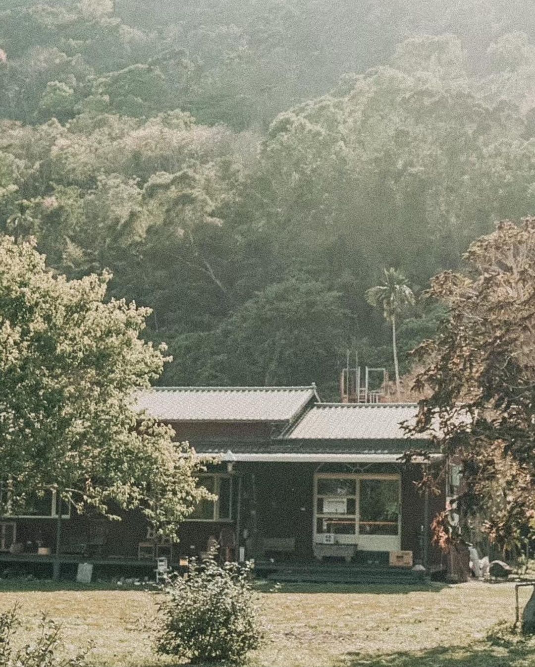 <p><br></p><p>兩隻鄰居養的鵝，</p><p><br></p><p>四隻自家的貓，</p><p><br></p><p>二十棵梅子樹，</p><p><br></p><p>三棟房子，</p><p><br></p><p>一位幼兒，</p><p><br></p><p>很多老件，</p><p><br></p><p><br></p><p>組合成白露梅室。</p><p><br></p><p><br></p><p>瑞穗當地的柚農都知道，只有沾過白露水的柚子才香甜。白露梅室的後方有10多棵老欉文旦，每年秋天就有採收不完的柚子，結實纍纍。一旦過了柚子的季節，可以期待迎面而來，滿園子的梅花香。</p><p><br></p><p>在園區裡，可以清楚聽到瑞穗牧場300多頭乳牛，天天都在哞哞不停，是我們最可愛的鄰居。</p><p><br></p><p>期待您來白露梅室，與我們一家人、四隻貓的相遇。</p>