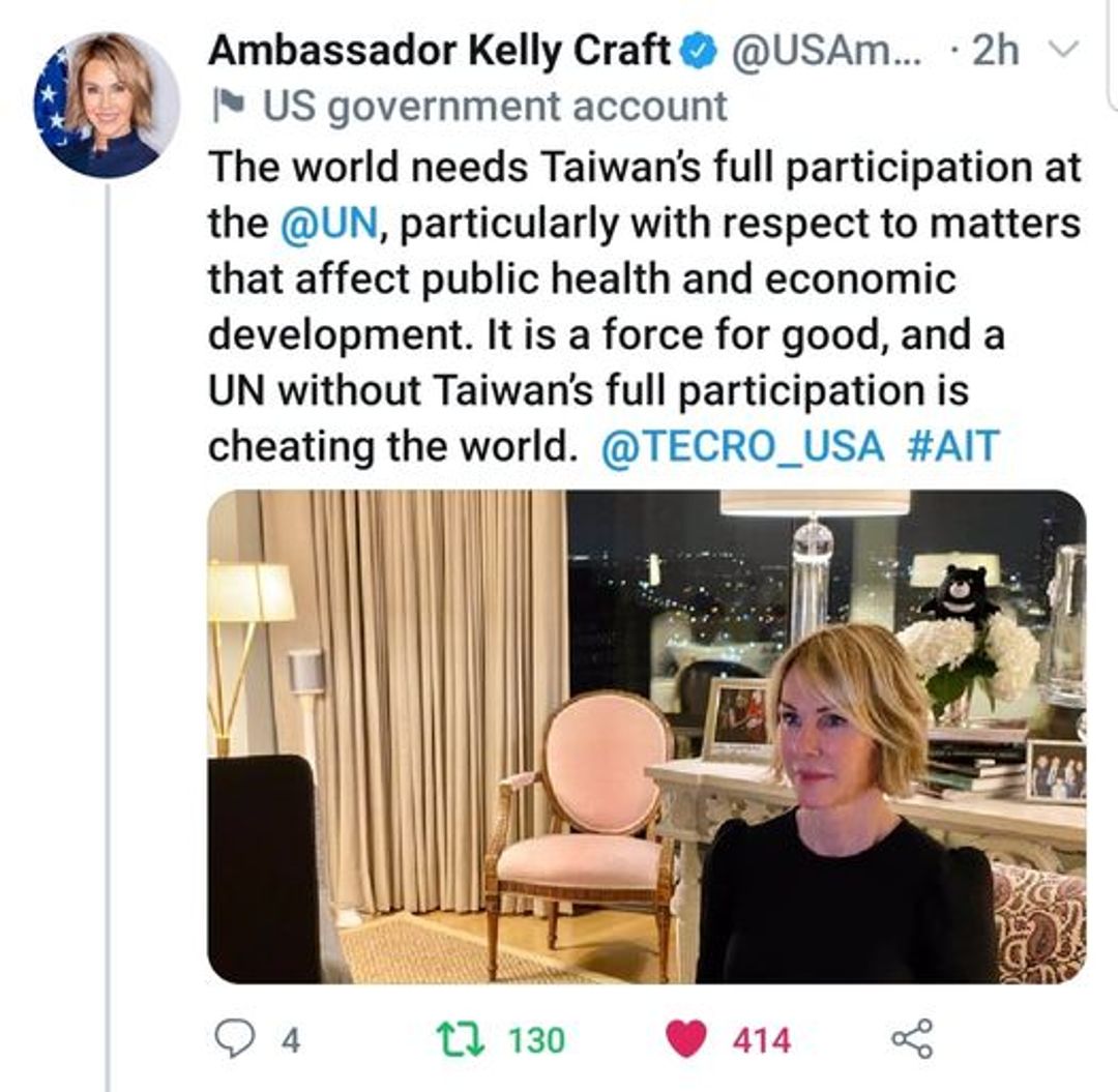 <p>克拉芙特大使視訊時與黑熊同框</p>