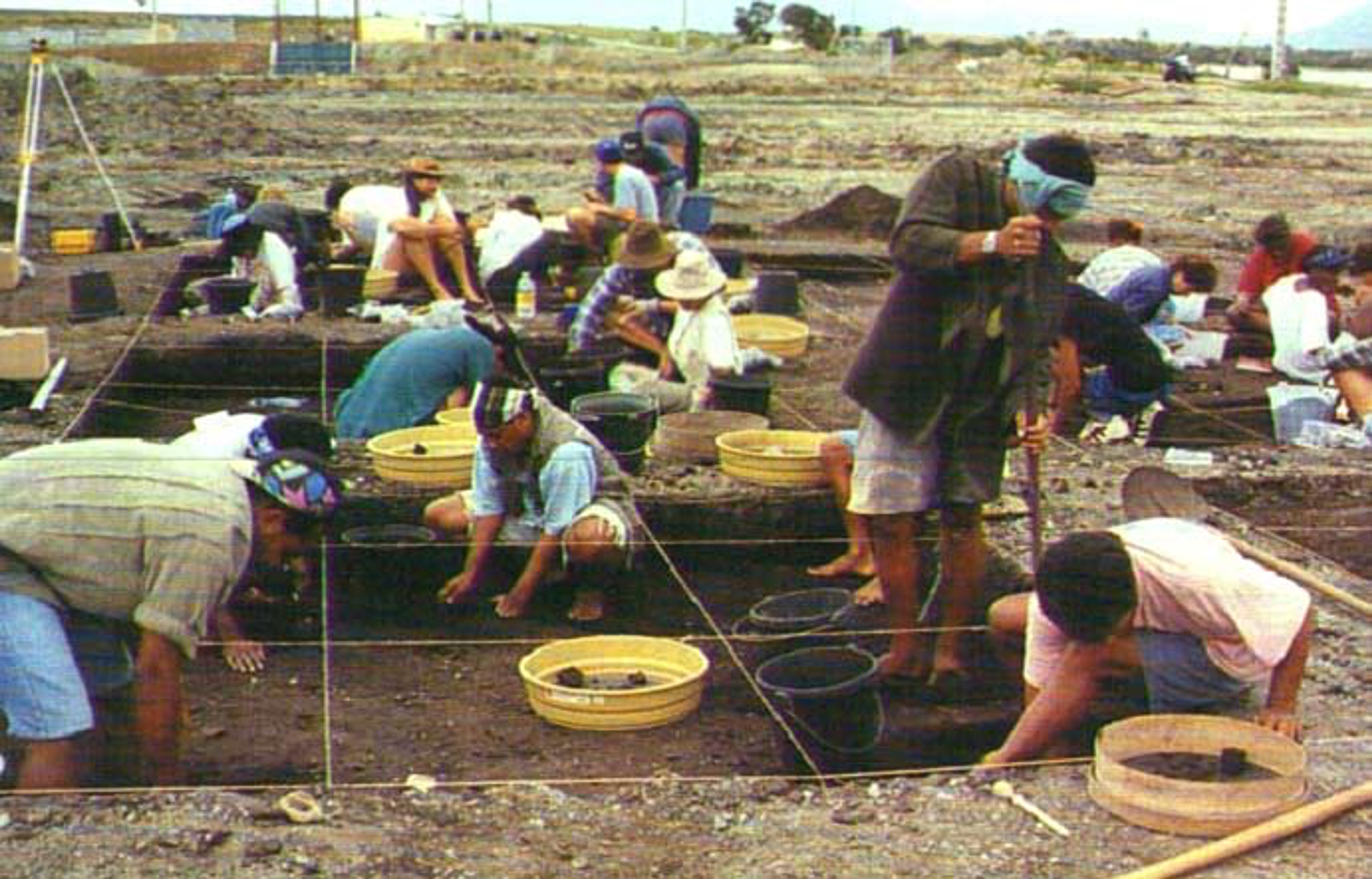 <p class="ql-align-center">New Caledonia田野工作。邱斯嘉提供。</p>
