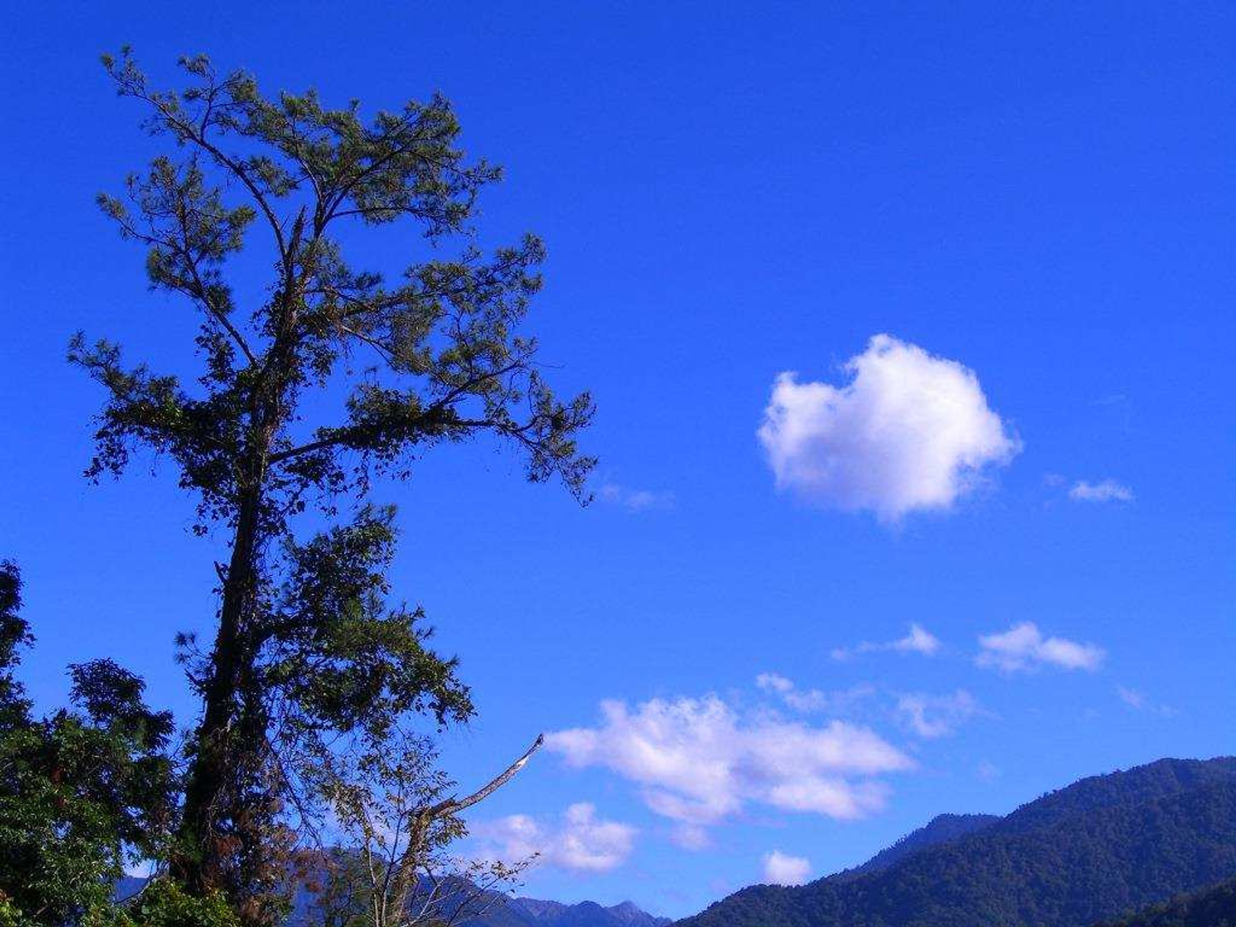 <p>第⼀張滿意的桌⾯照片</p>