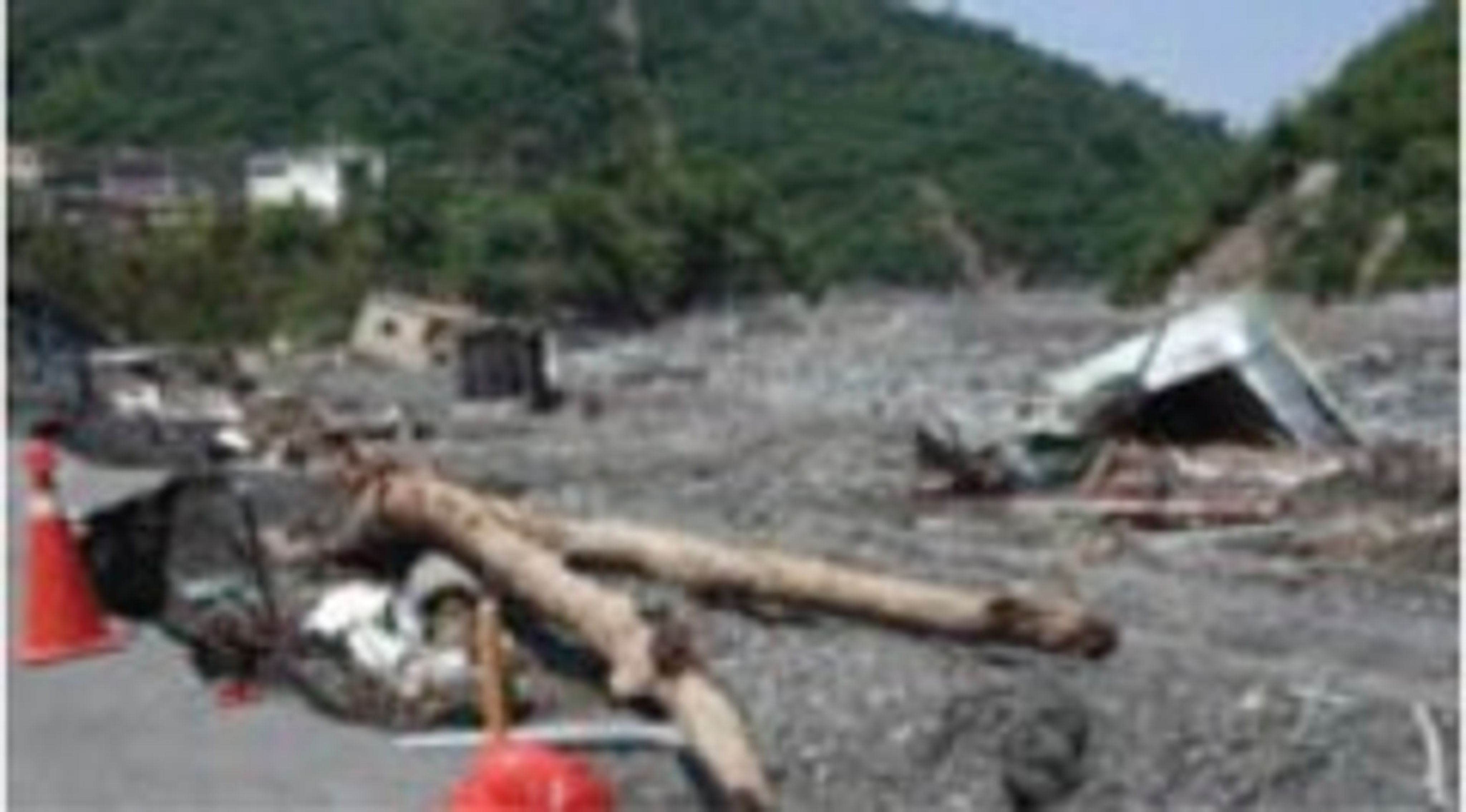<p class="ql-align-center">胡台麗攝。</p>