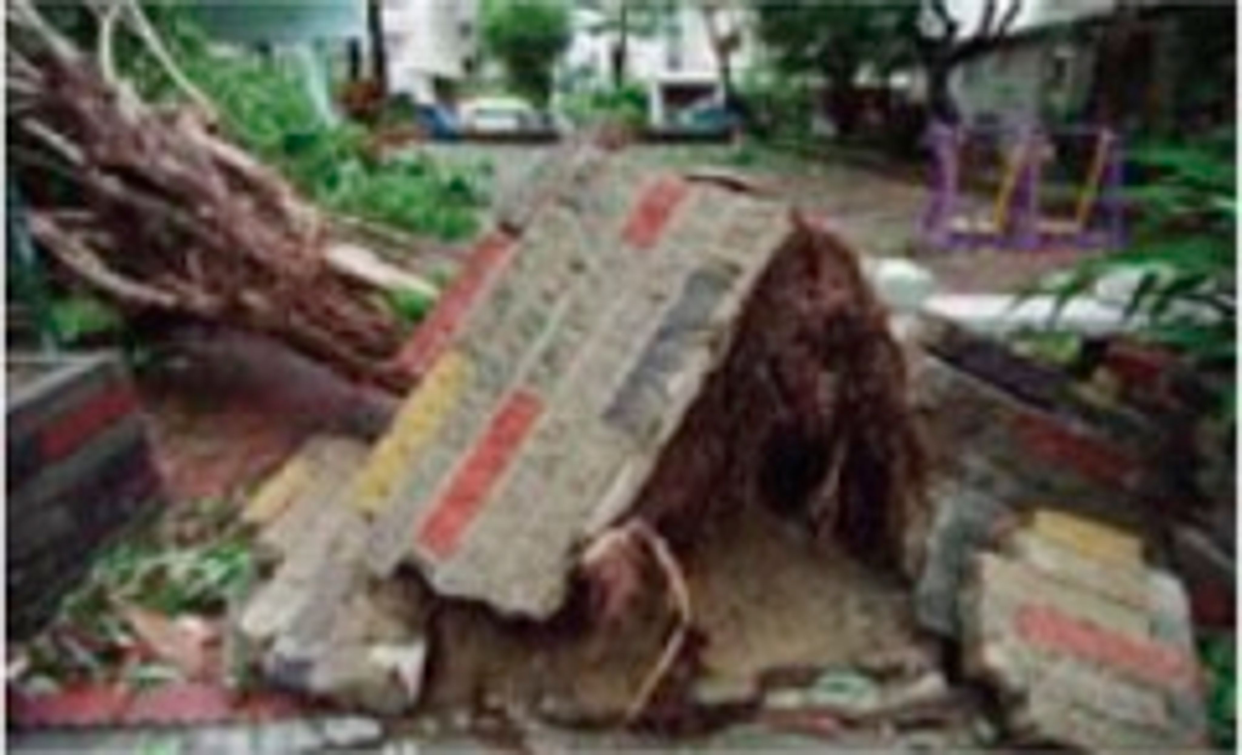 <p class="ql-align-center">Max Chang攝。</p>