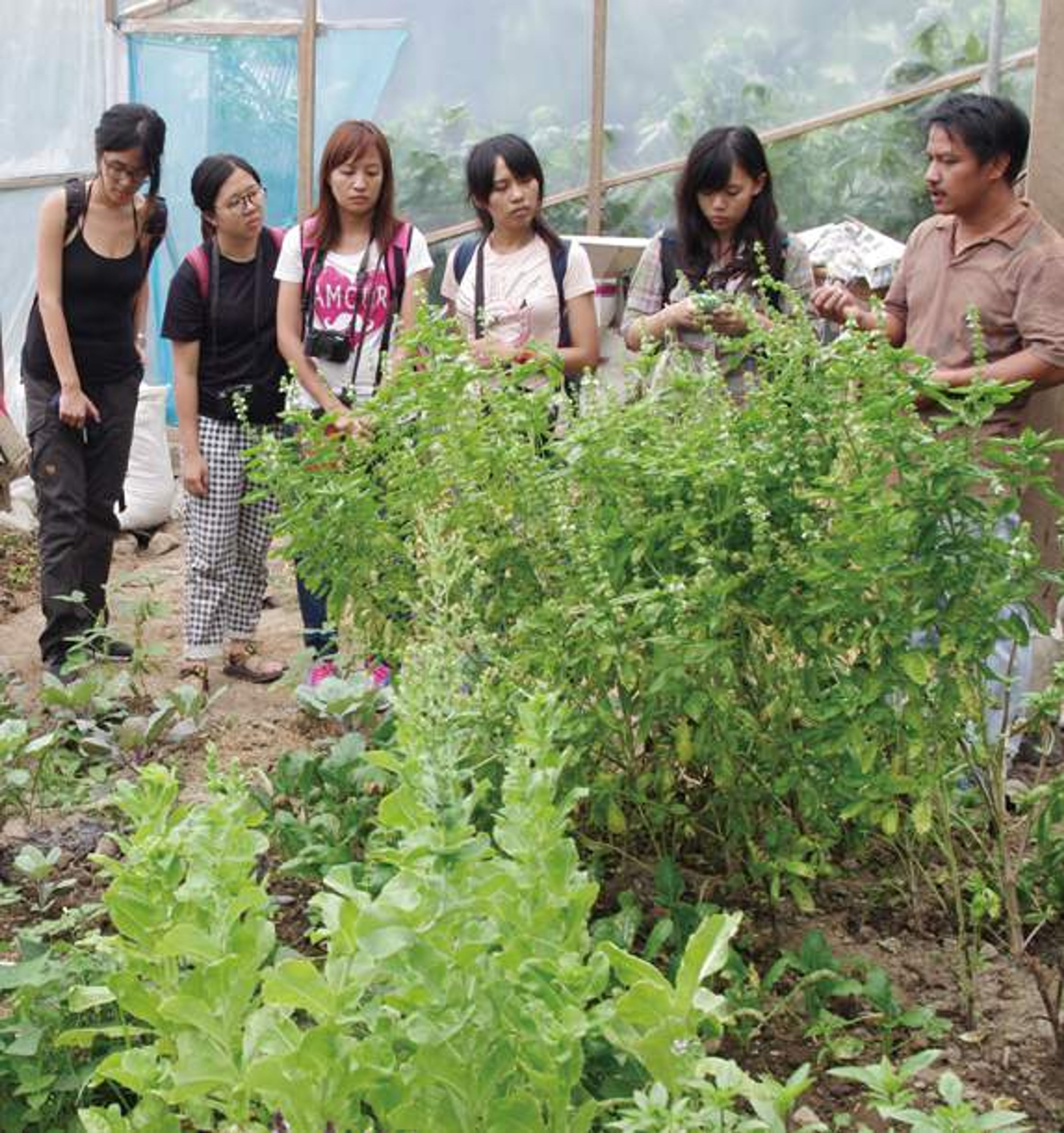 <p>SITMo 組織介紹本團隊與在地有機農民進行對談</p>