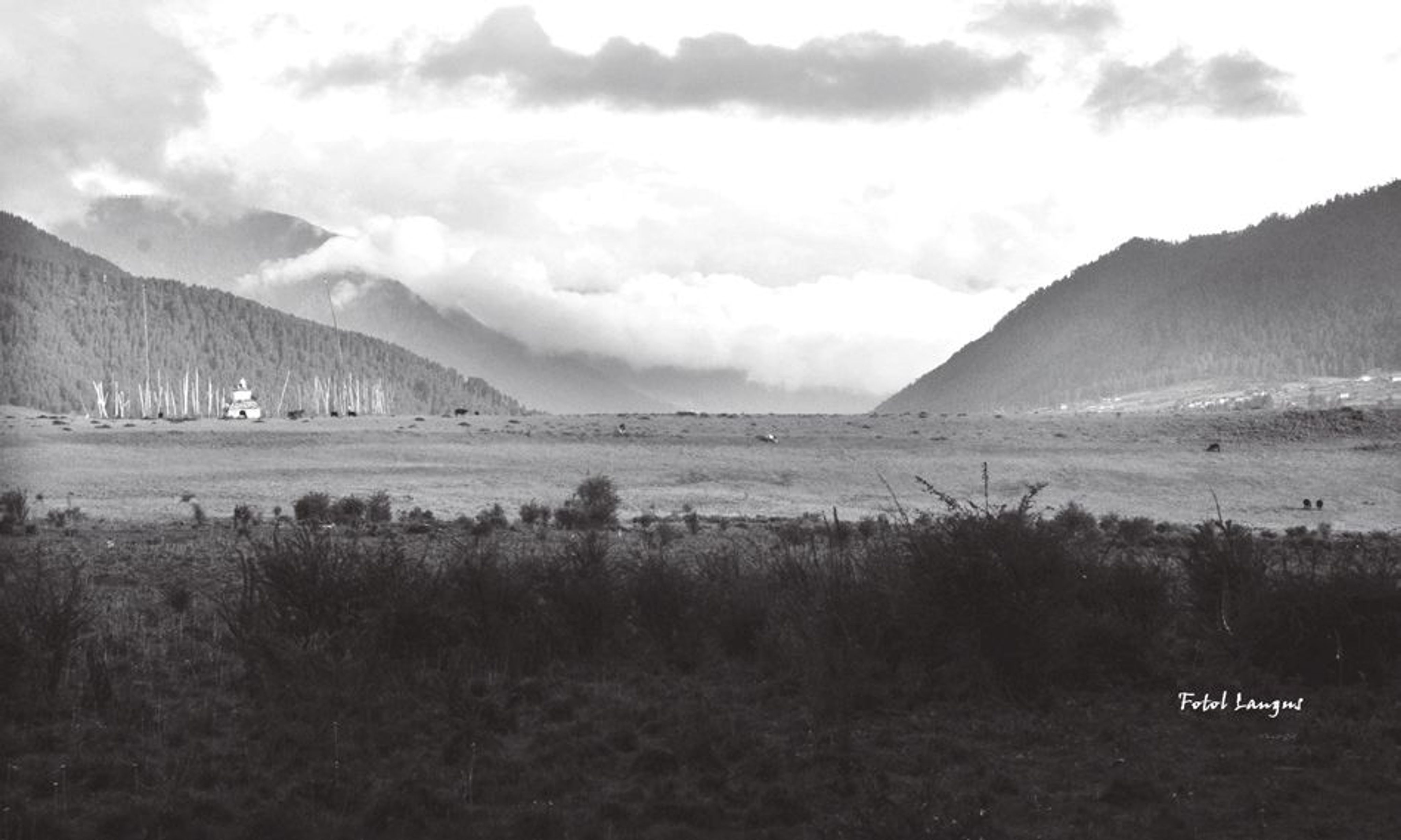 <p><span style="background-color: transparent;">Phobjikha Valley</span></p>