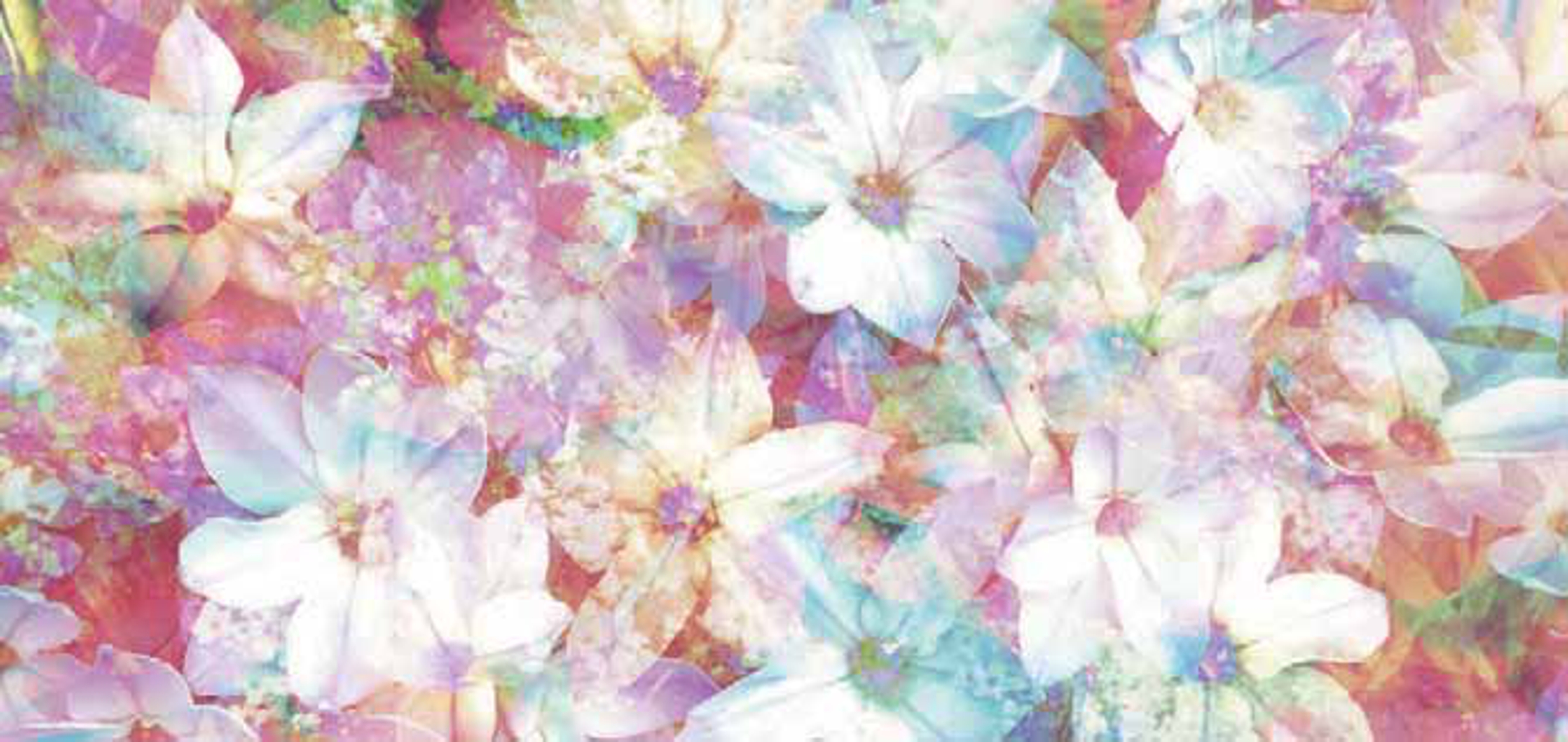 <p class="ql-align-center">R‧かな提供。</p>