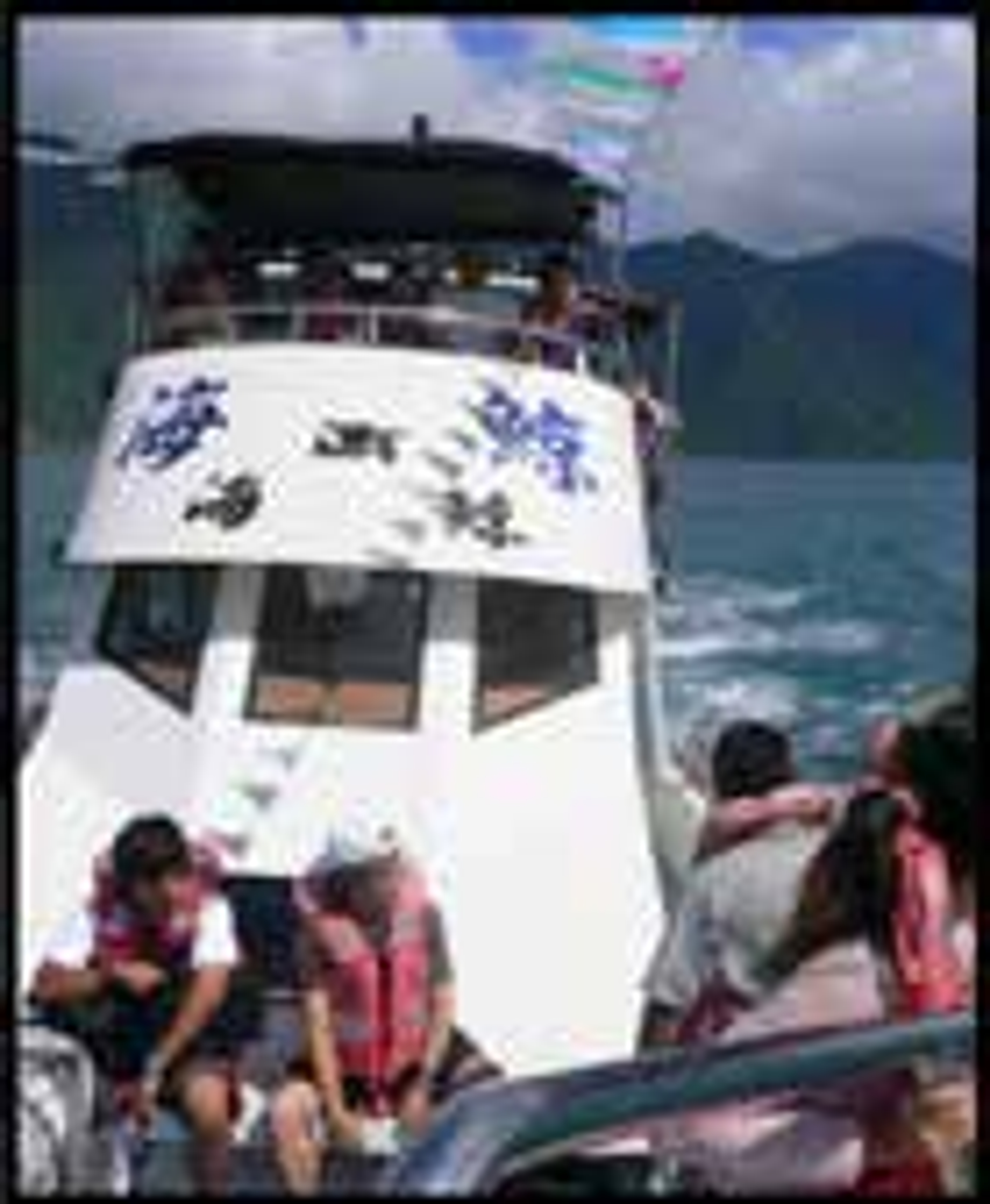 <p><span style="background-color: transparent;">Whale-Watching Ecotourism (provided by Tom Abel)</span></p>