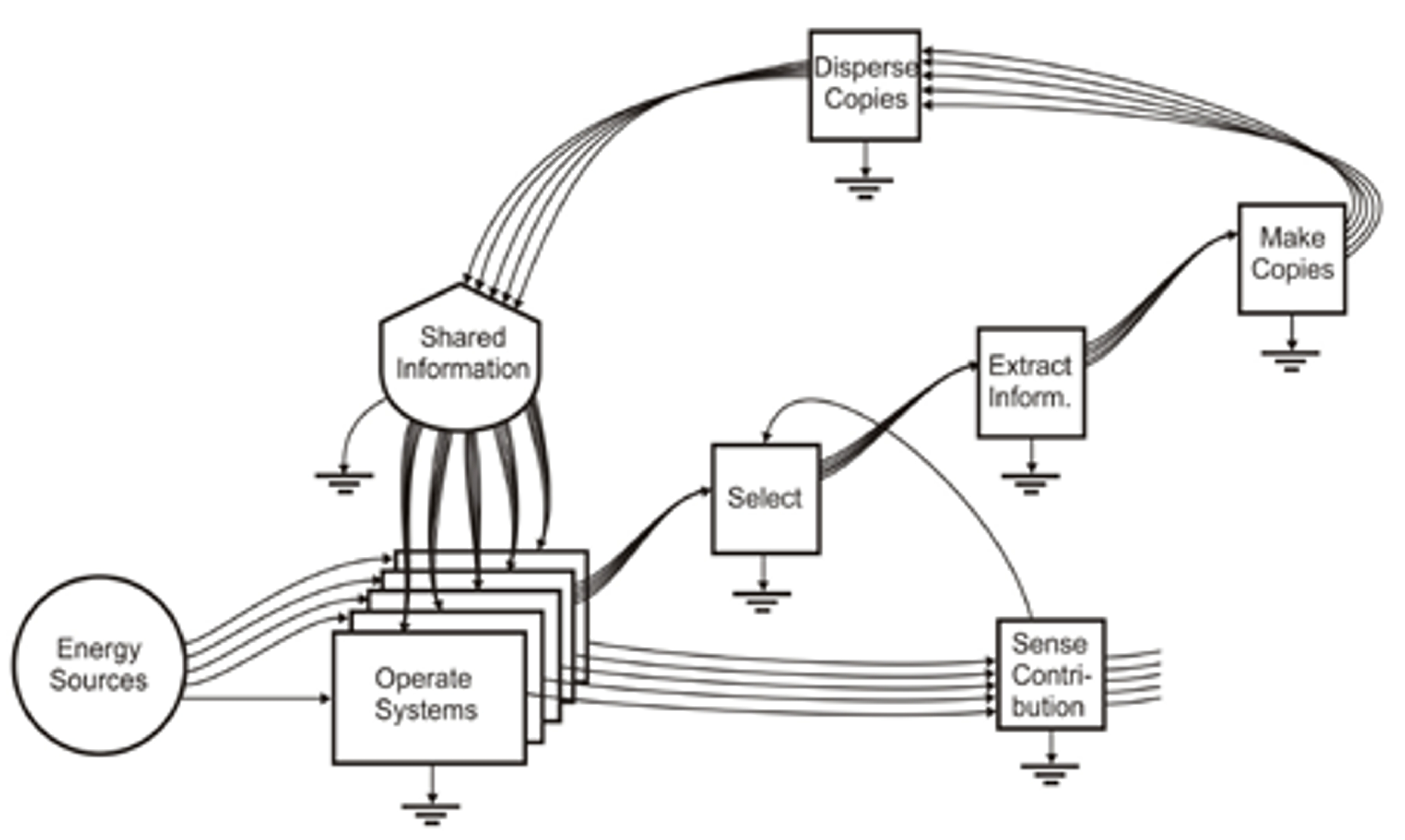 <p><span style="background-color: transparent;">The Information Cycle (HT Odum (1996:223) Environmental Accounting, This material is reproduced with permission of John Wiley & Sons, Inc.)</span></p>