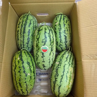 甜美人西瓜🍉-箱果(25斤以上) 