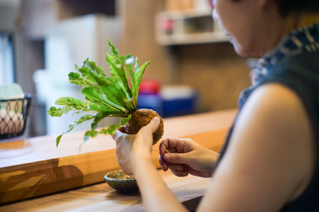 <p>植材將依當季調整,圖片僅供參考</p>