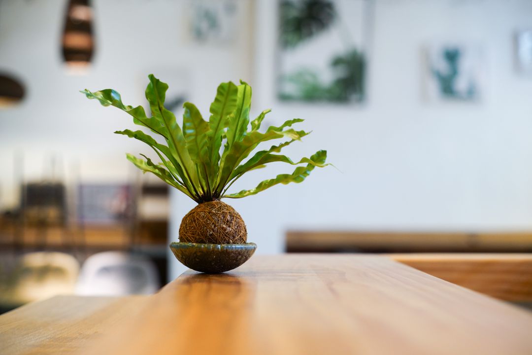 <p>植材將依當季調整,圖片僅供參考</p>