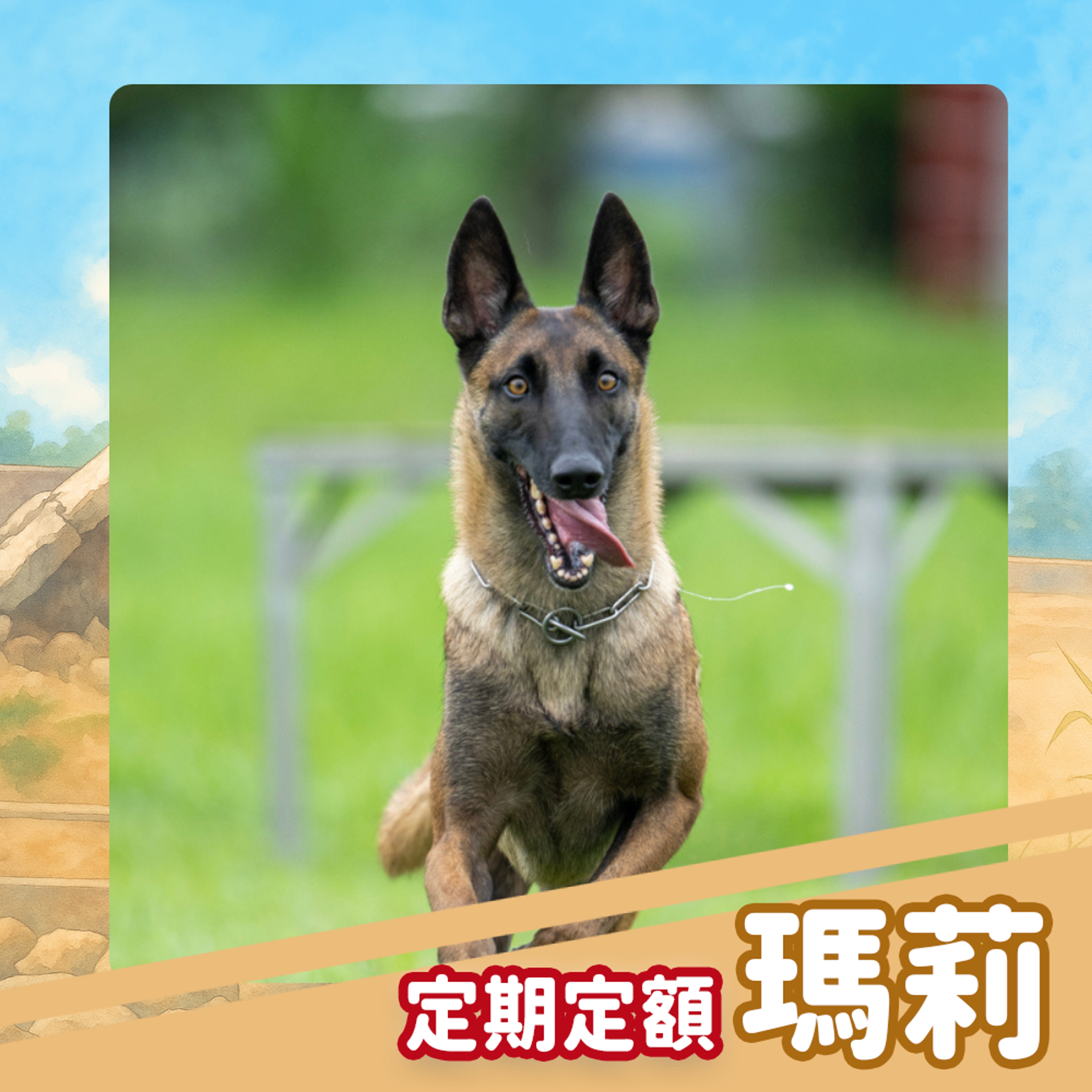 【定期】資助瑪莉｜贈送防災包＆瑪莉專屬腳印小卡（已贈完）