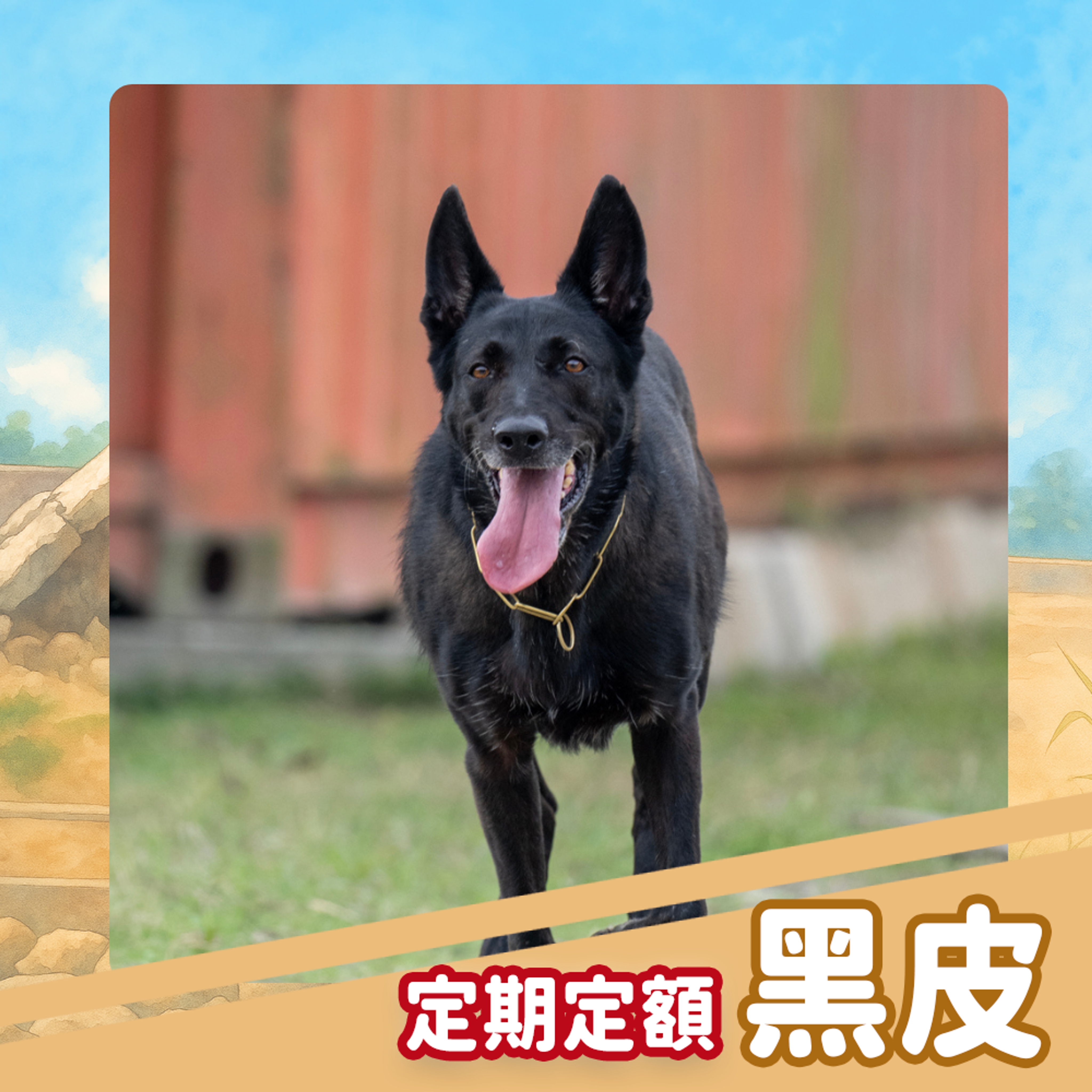 【定期】資助黑皮｜贈送防災包＆黑皮專屬腳印小卡（已贈完）