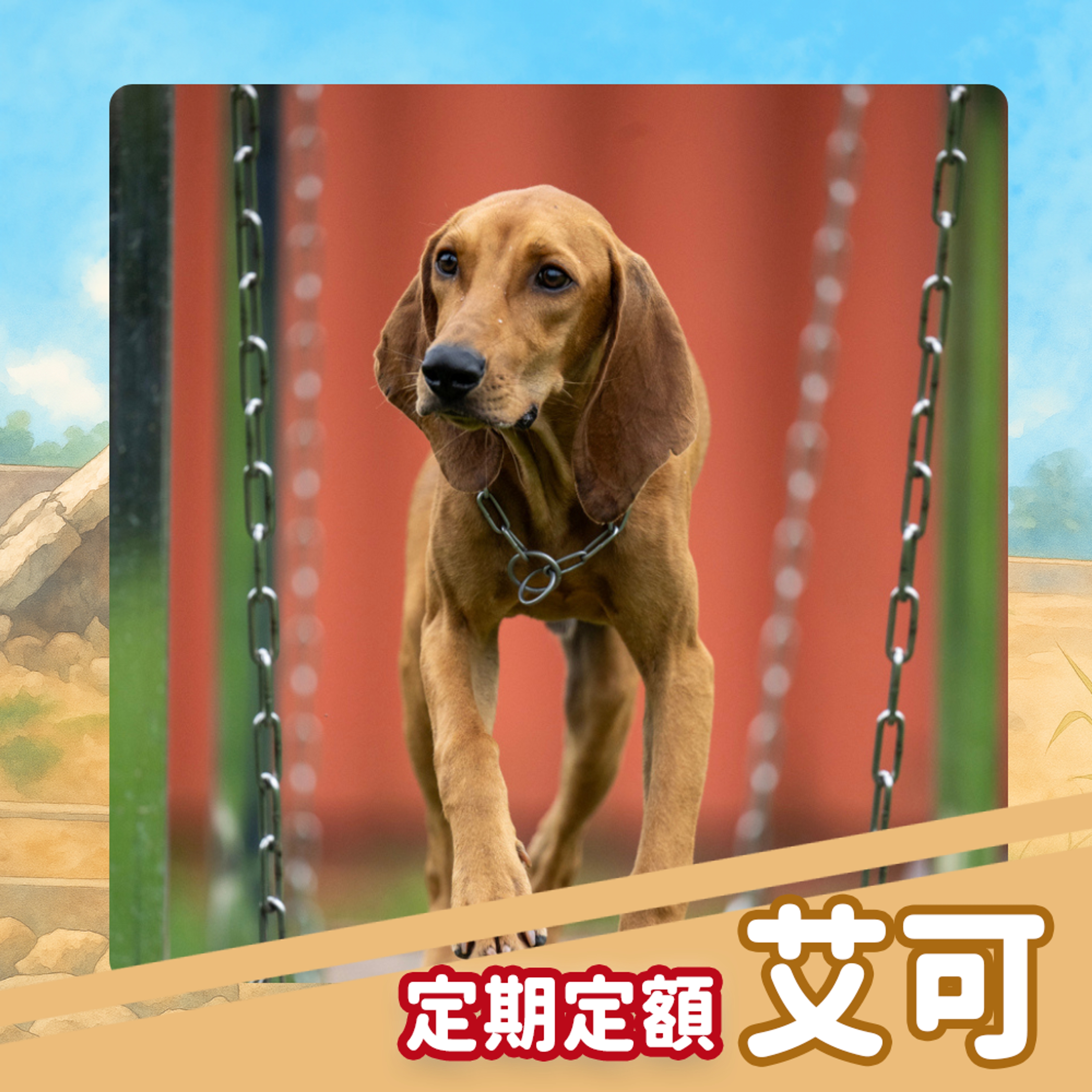 【定期】資助艾可|贈送防災包&艾可專屬腳印小卡(已贈完)