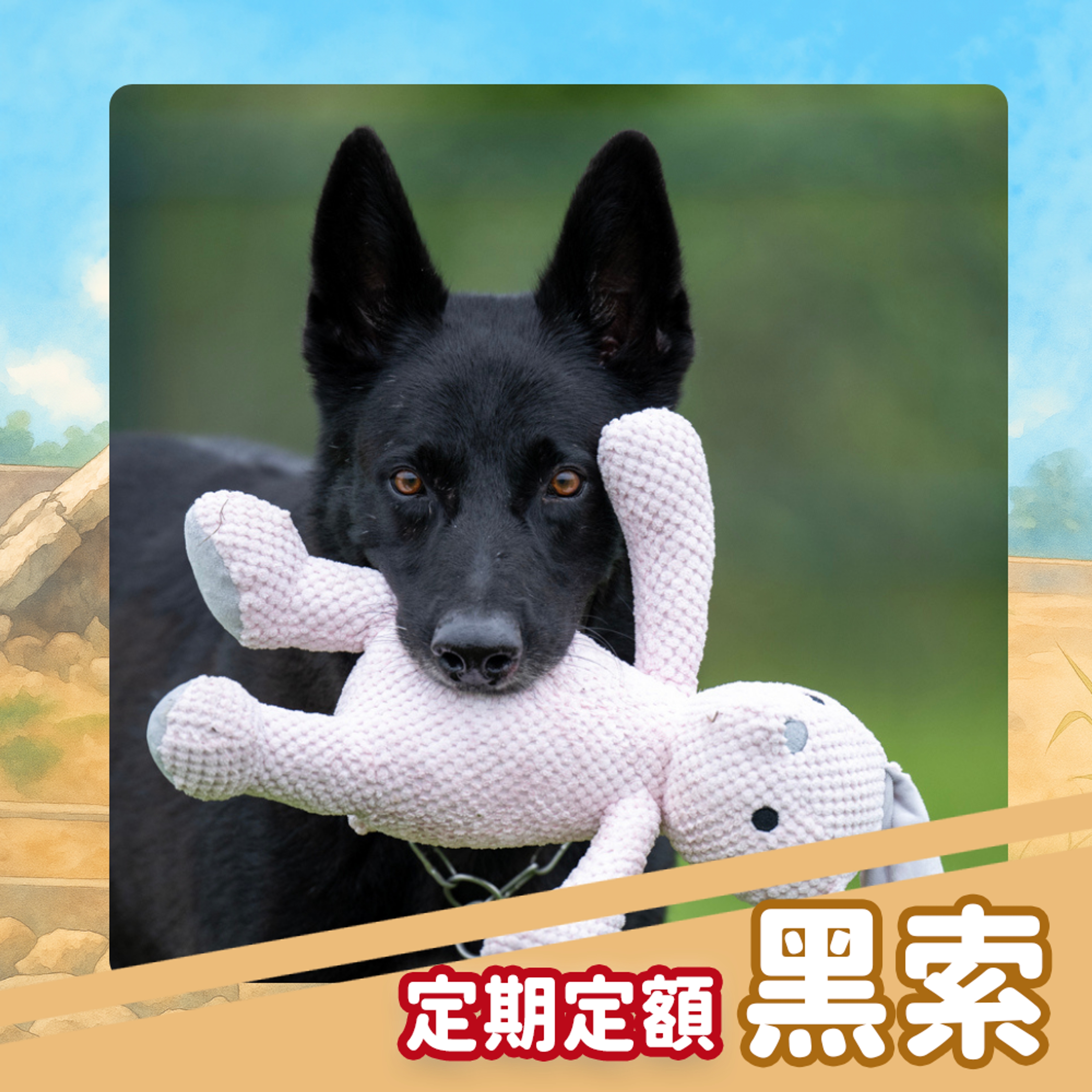 【定期】資助黑索|贈送防災包&黑索專屬腳印小卡(已贈完)