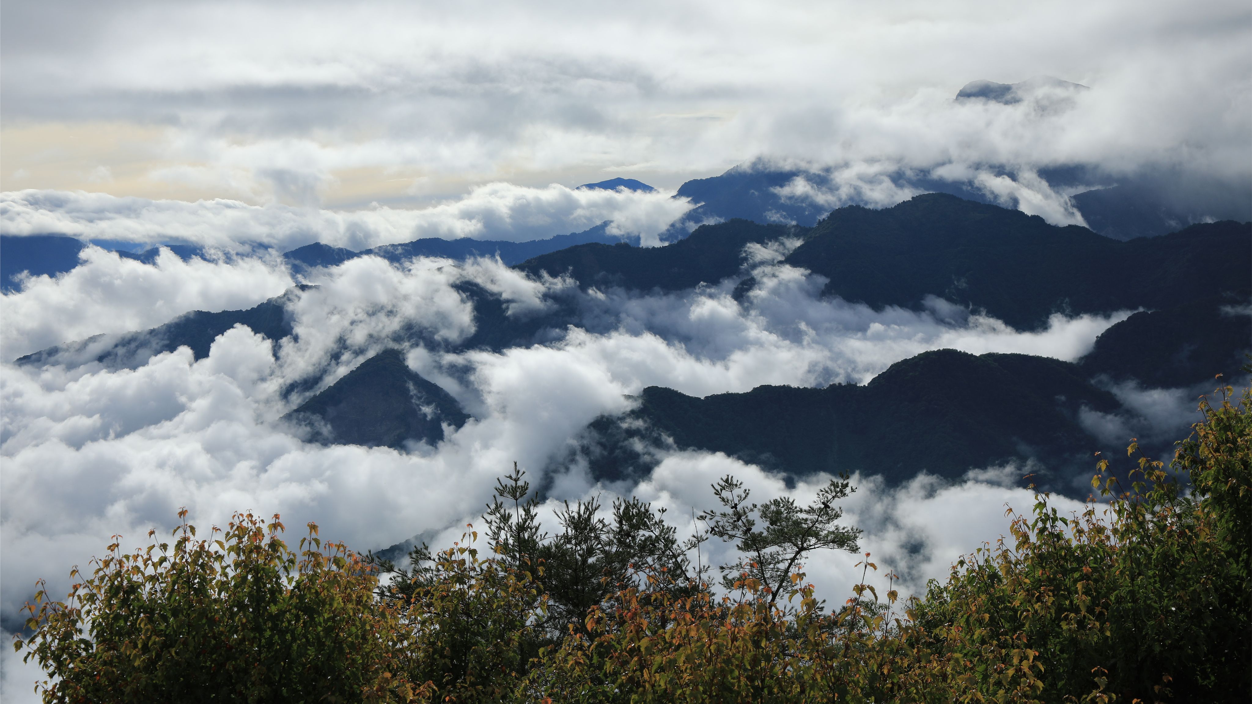 <p><strong>小笠原日出</strong></p><p>從祝山火車站出來後，沿著祝山林道往上便可到達小笠原觀景平台，沿途不僅可以體驗臺灣中海拔霧林帶的動植物特色，還有機會與臺灣特有種-帝雉來一場偶然的邂逅。走上小笠原觀景平台，不僅可以享受國際級360度無死角的全景日出，還能同時飽覽阿里山、玉山、中央、雪山四大山脈地景，將日出、雲海、高山的感受一次收集回家。</p>