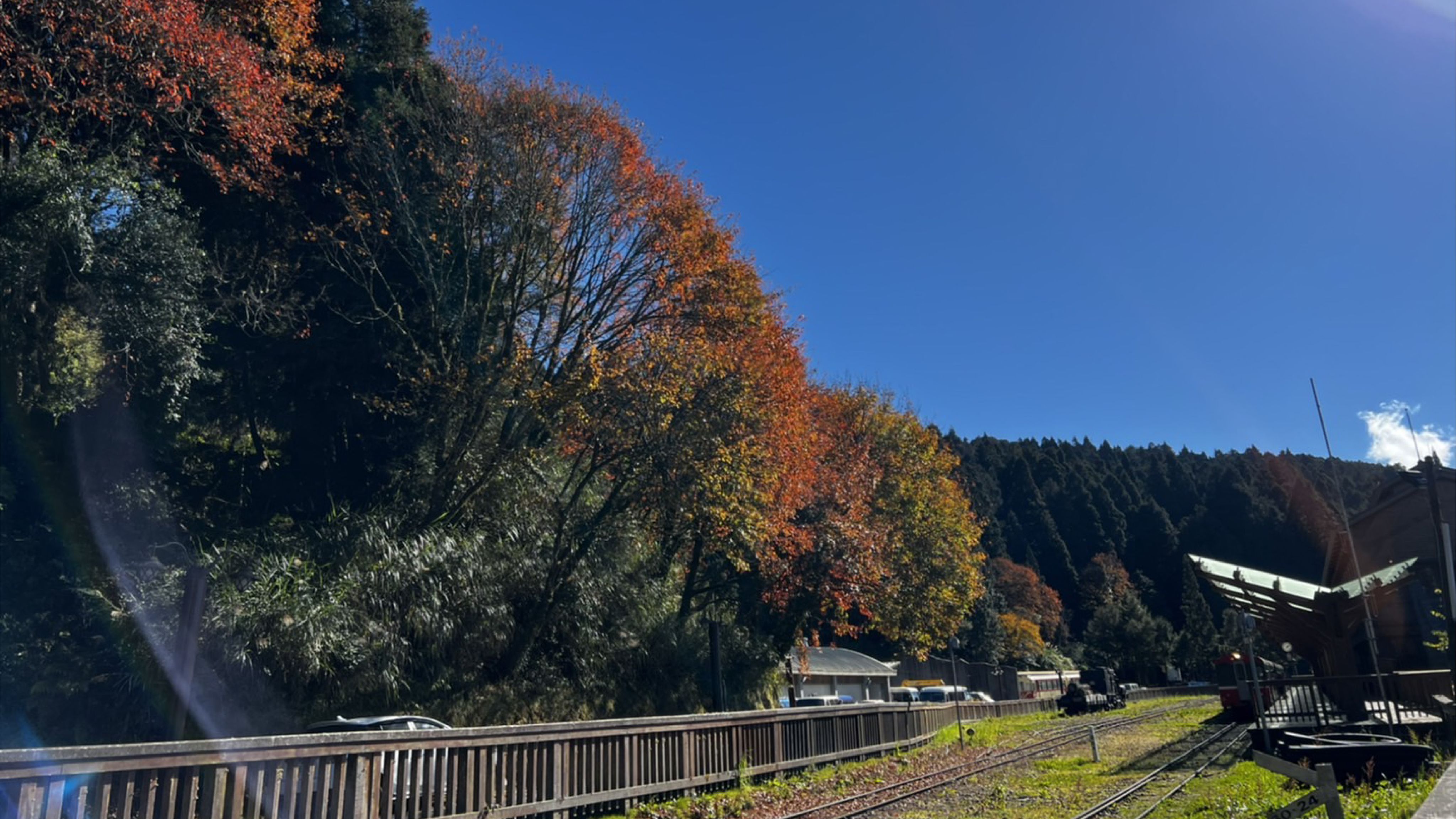 <p><strong>沼平車站</strong></p><p>沼平車站座落在海拔2,274公尺，在1914年成為鐵道本線的終點站，當時整個沼平地區是阿里山木材的集中地，而沼平車站（舊稱阿里山車站）扮演著將木材運下山的重要角色。沼平車站原為木造建築，1959年改建成鋼筋水泥構造。1981年阿里山新站（今阿里山車站位置）建成後取代沼平車站成為林業鐵道本線 的終點，而改稱阿里山舊站。1996年改名成沼平車站。2013年才改建成兼具觀光鐵道運輸、展示與綠色建築標章的車站，一樓是鋼筋混凝土結構，二樓是木造結構。</p>