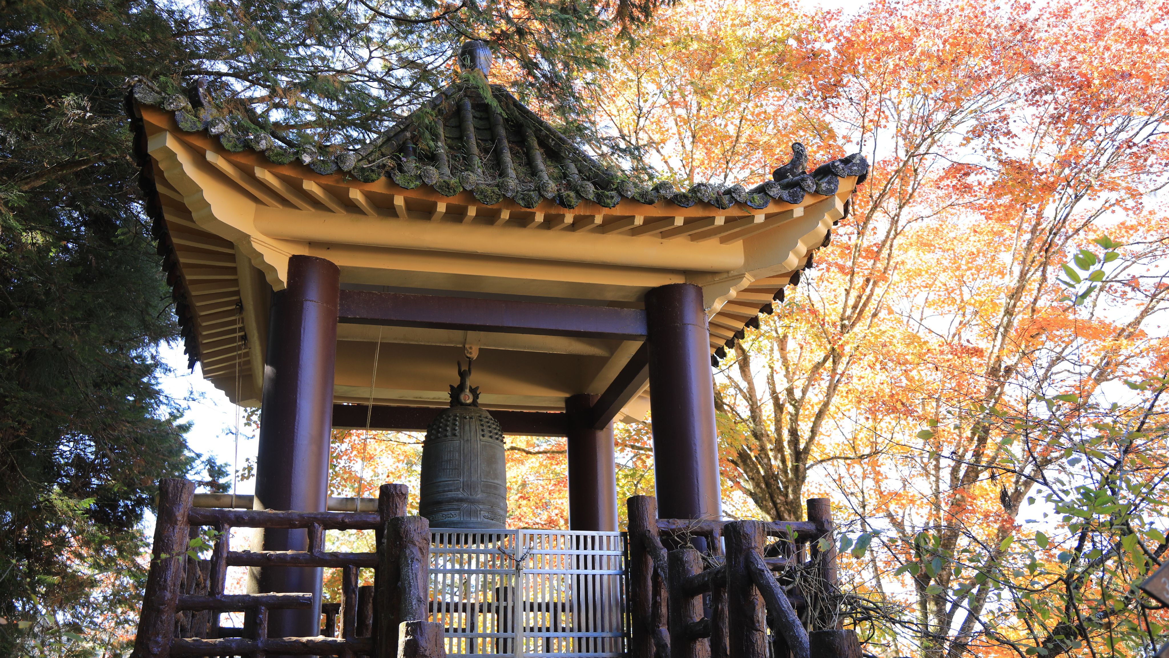 <p><strong>慈雲寺</strong></p><p>慈雲寺原名「阿里山寺」。1914年曹洞宗（禪宗的主要宗派之一）管長日置墨仙造訪阿里山時為關切當時的林業人員，提出在此興建寺院，並將暹羅（今泰國）國王所贈送的金製佛像安置於此的想法。1918年透過信徒的捐款興建15坪大小的阿里山寺。1922年興建了方尖碑造型的「殉職者紀念碑」。隔年1923年蓋成鐘樓與銅鐘。1924年阿里山寺大火，只有佛像、紀念碑和銅鐘完好無損，但營林所長重松榮一（慈雲寺後有一座紀念此人的「頌德碑」）與在地居民皆希望重建，於是向總督府請願，並成功重建寺院。1945年國民政府來臺後改名為今天的「慈雲寺」。</p>