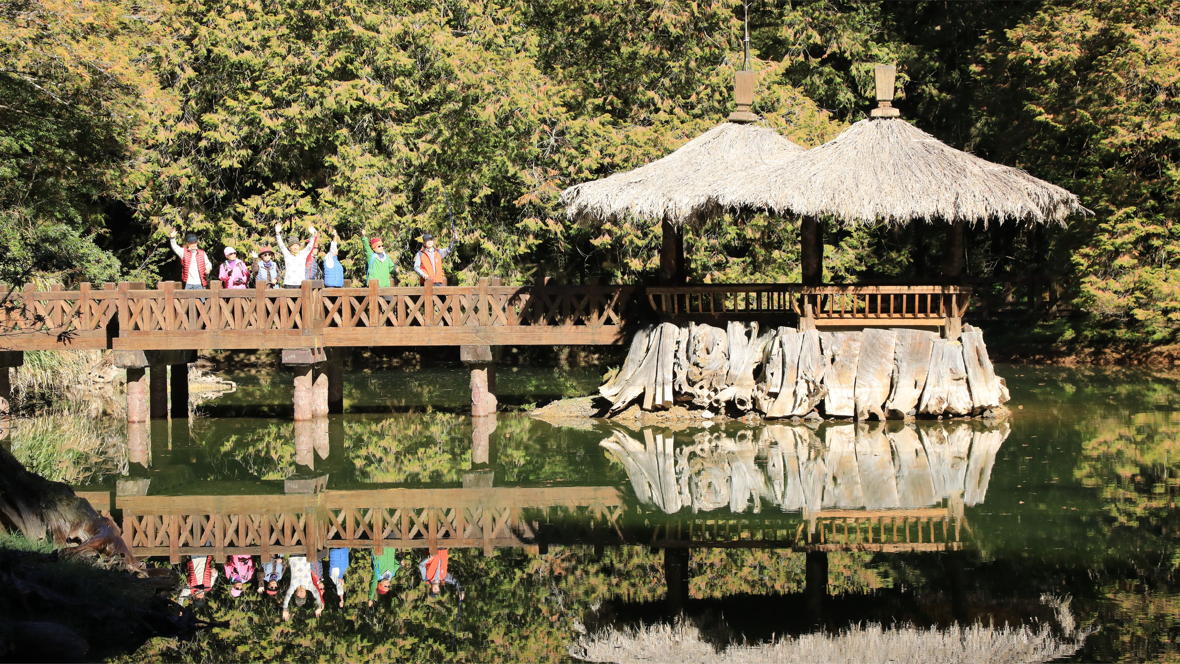 <p><strong>姊妹潭</strong></p><p>姊妹潭的姐潭與妹潭兩個窪地因有山泉注入形成水潭，在日治時代是林場用來供應附近苗圃的水源。因其終年有充沛的水源，對培育造林樹種樹苗以及園區內的花卉幼苗有極大貢獻。姊潭附近仍然可見苗圃的遺構：由石塊堆砌而成的駁坎，駁坎上方有一列整齊的柳杉，是昔日造林剩下的樹苗所長成。</p>