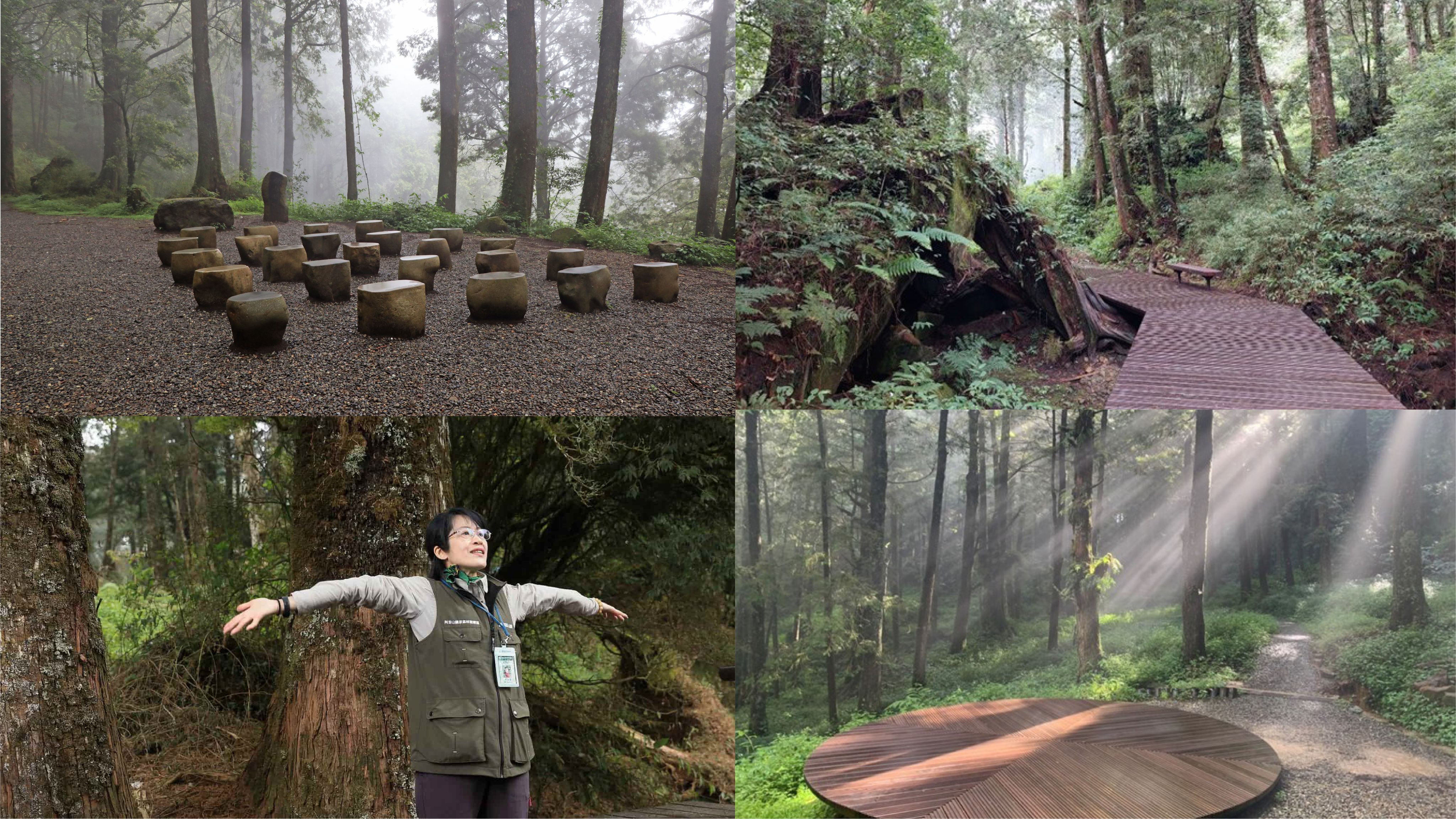 <p><strong>療癒五感體驗</strong></p><p>來到水山巨木，請把所有的煩惱暫時放下，好好深呼吸，讓大地擁抱你，跟著解說員的腳步，一起療癒吧！</p>