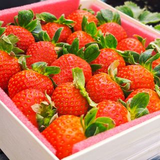 香水紅草莓 (350克±10%，15~25顆)-1盒入
