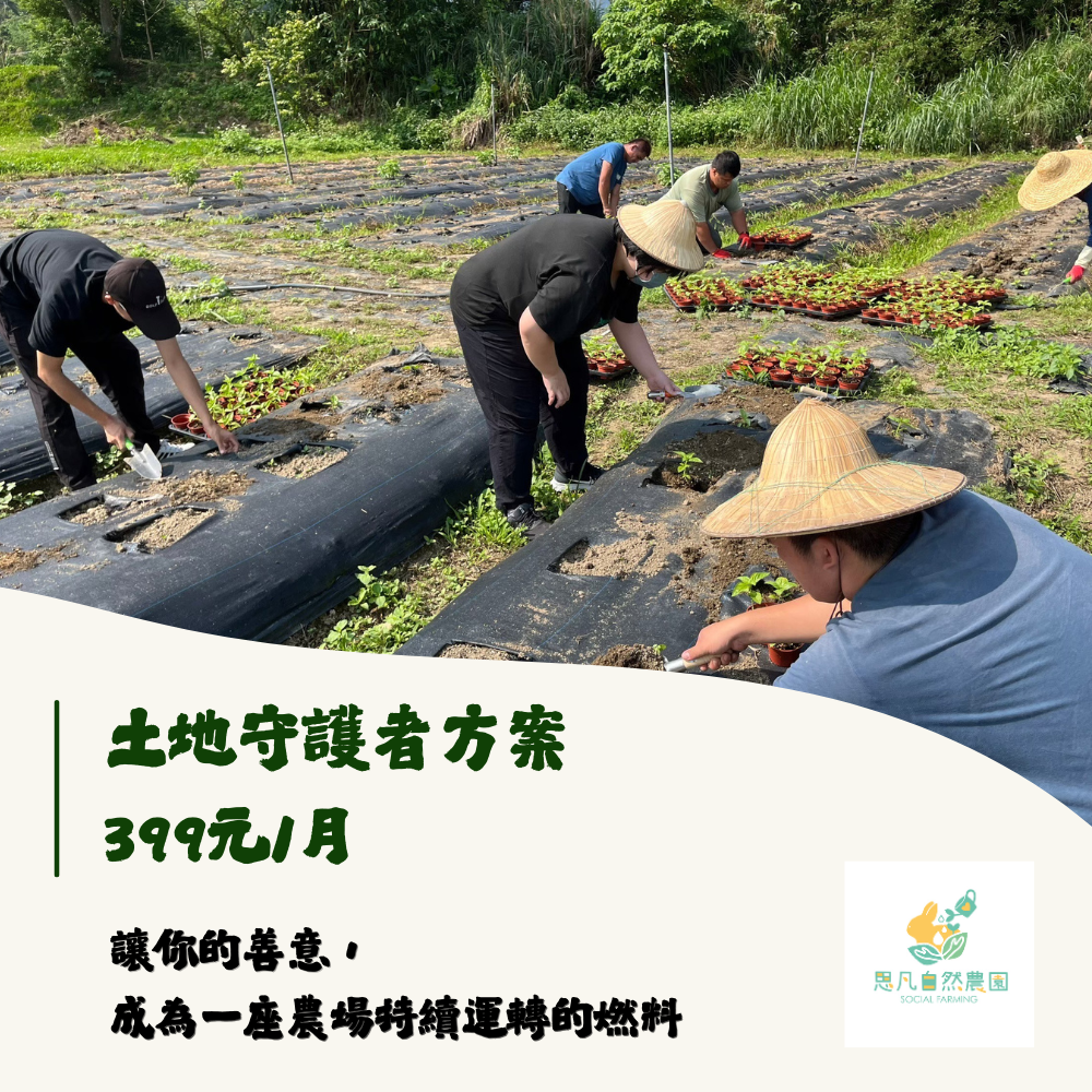 土地守護者｜每月 399 元，認養 1 坪香草田