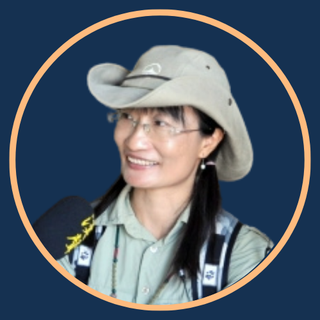 林瓊瑤