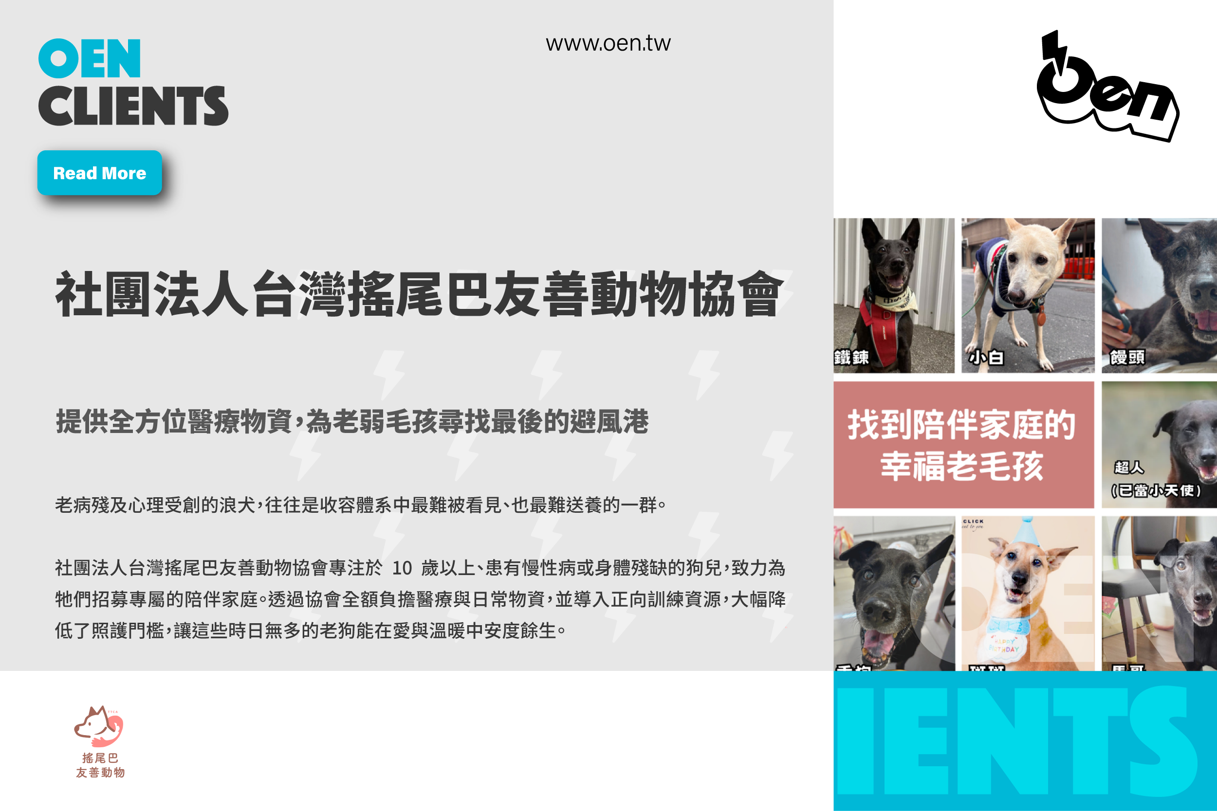 社團法人台灣搖尾巴友善動物協會