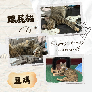 Gallery image 39
