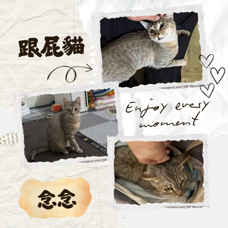 Gallery image 27
