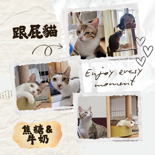 Gallery image 24