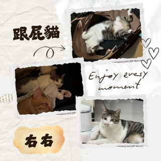 Gallery image 34