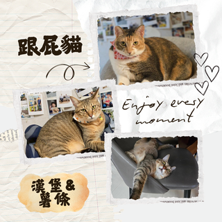 Gallery image 23