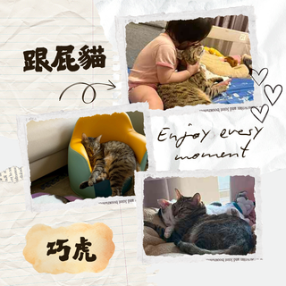 Gallery image 28