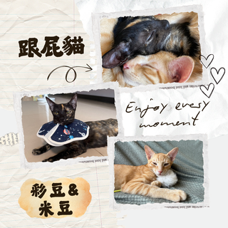 Gallery image 32
