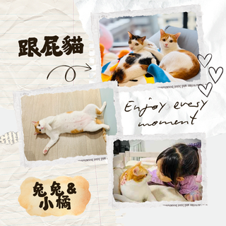 Gallery image 25