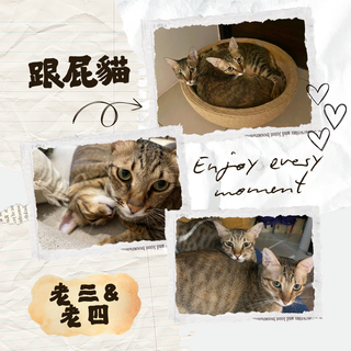 Gallery image 22