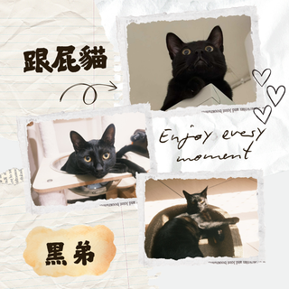 Gallery image 23