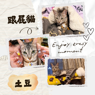 Gallery image 26