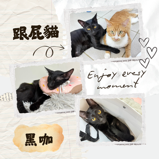 Gallery image 24