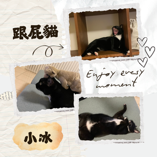 Gallery image 28