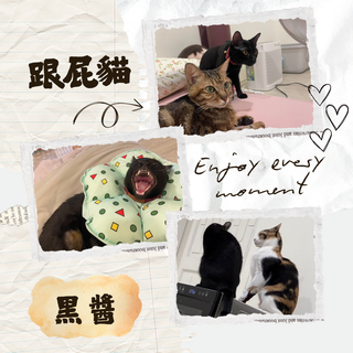 Gallery image 21
